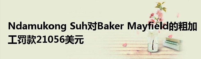 Ndamukong Suh对Bak