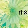 什么的春天（什么的灯火）