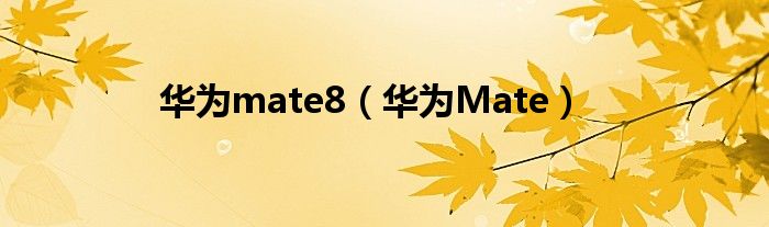 华为mate8（华为Mate）