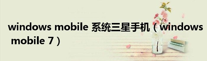windows mobile 系统