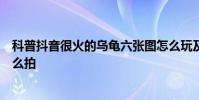 科普抖音很火的乌龟六张图怎么玩及抖音变老的特效视频怎么拍