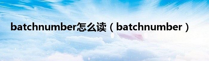 batchnumber怎么读（ba