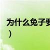 为什么兔子要吃盐呢（为什么兔子要吃胡萝卜）
