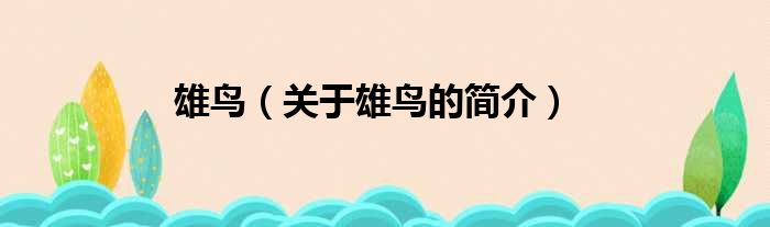 雄鸟（关于雄鸟的简介）