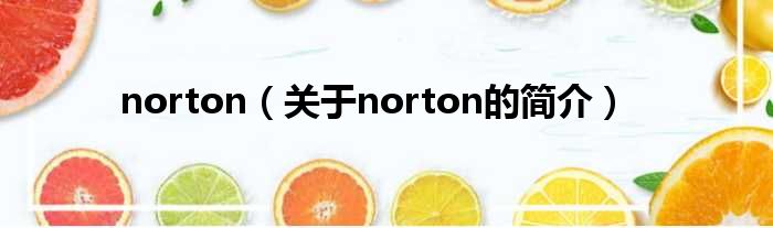 norton（关于norton的简