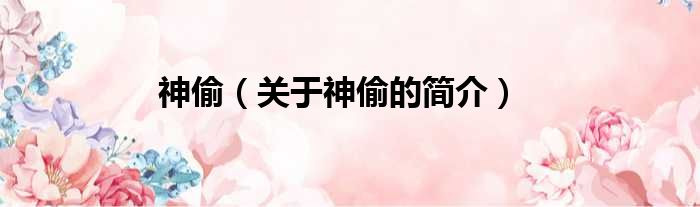 神偷（关于神偷的简介）