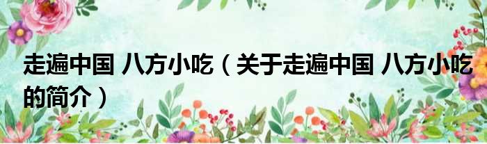 走遍中国 八方小吃（关于走遍中国 