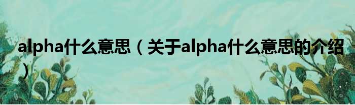 绚丽的alpha什么意思的图像