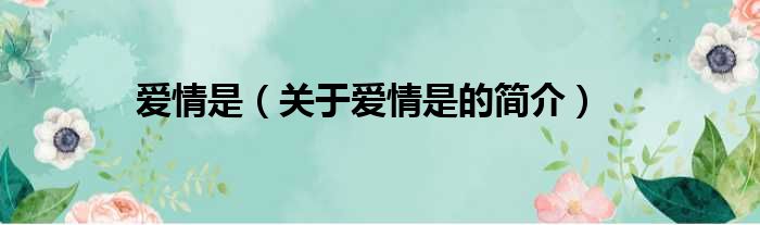 爱情是（关于爱情是的简介）