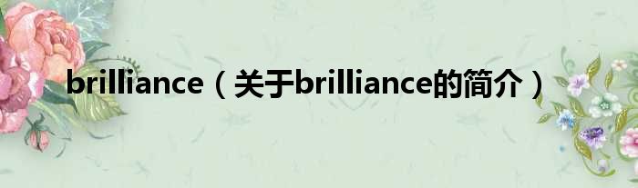 brilliance（关于bril