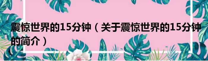 震惊世界的15分钟（关于震惊世界的