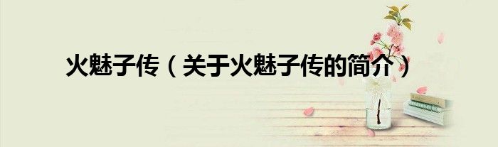 火魅子传（关于火魅子传的简介）