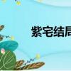 紫宅结局（关于紫宅结局的简介）