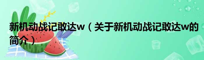 新机动战记敢达w（关于新机动战记敢