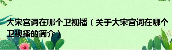 大宋宫词在哪个卫视播（关于大宋宫词在哪个卫视播的简介）(图1)
