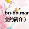 bruno mars演唱会（关于bruno mars演唱会的简介）