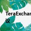 TeraExchange为SEF确定性提供欧洲IDB协议