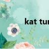 kat tun（关于kat tun的简介）