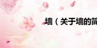 墙(关于墙的简介)