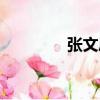 张文凤（关于张文凤介绍）