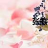 张振机（关于张振机介绍）