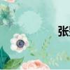 张整（关于张整介绍）