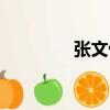 张文伟（关于张文伟介绍）