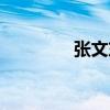 张文东（关于张文东介绍）
