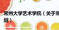 常州大学艺术学院(关于常州大学艺术学院介绍)