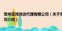 常州宝鸿货运代理有限公司(关于常州宝鸿货运代理有限公司介绍)