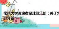 常州大学流浪者足球俱乐部(关于常州大学流浪者足球俱乐部介绍)