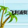飞利浦熨斗客服电话（飞利浦熨斗）