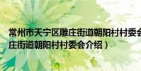 常州市天宁区雕庄街道朝阳村村委会(关于常州市天宁区雕庄街道朝阳村村委会介绍)