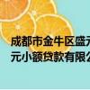 成都市金牛区盛元小额贷款有限公司（关于成都市金牛区盛元小额贷款有限公司简介）