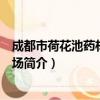 成都市荷花池药材专业市场（关于成都市荷花池药材专业市场简介）