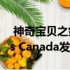  神奇宝贝之剑和盾牌双包装现已在EB Games Canada发售