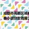 成都市高新区诚泰小额贷款有限公司（关于成都市高新区诚泰小额贷款有限公司简介）