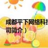 成都平下网络科技有限公司（关于成都平下网络科技有限公司简介）