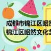 成都市锦江区昭然文化艺术培训学校有限公司（关于成都市锦江区昭然文化艺术培训学校有限公司简介）