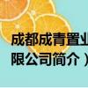成都成青置业有限公司（关于成都成青置业有限公司简介）