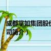 成都掌如集团股份有限公司（关于成都掌如集团股份有限公司简介）