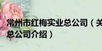 常州市红梅实业总公司(关于常州市红梅实业总公司介绍)