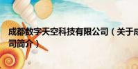成都数字天空科技有限公司(关于成都数字天空科技有限公司简介)