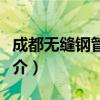 成都无缝钢管厂志（关于成都无缝钢管厂志简介）
