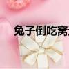 兔子倒吃窝边草小说（兔子潜了窝边草）