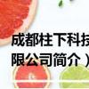 成都柱下科技有限公司（关于成都柱下科技有限公司简介）