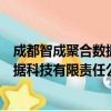 成都智成聚合数据科技有限责任公司（关于成都智成聚合数据科技有限责任公司简介）