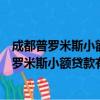 成都普罗米斯小额贷款有限公司高新区分公司（关于成都普罗米斯小额贷款有限公司高新区分公司简介）