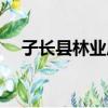子长县林业局（关于子长县林业局介绍）