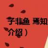 子非鱼 焉知鱼之乐（关于子非鱼 焉知鱼之乐介绍）